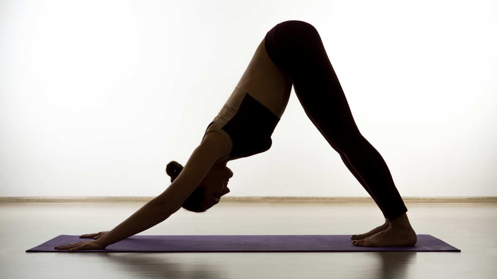 joga joga